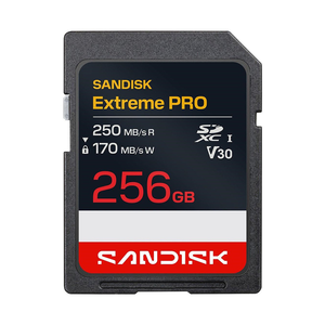 【SanDisk】Extreme PRO 256G SDXC UHS-I U3 V30 相機用記憶卡