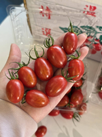 Jade Cherry Tomato, , large