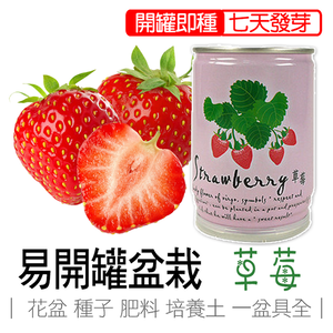 【心安購物】iPlant易開罐盆栽-草莓