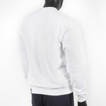 Champion 男 長袖上衣 大學T 美規 高磅數 運動 休閒 內刷毛 保暖 舒適 穿搭 淺灰 [S600-93H], , large