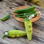 【際洋文化】一舉奪葵-秋葵, , large