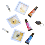 Amber Bug Science Kit, , large