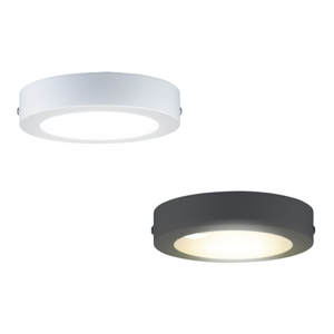 ceiling lamp
