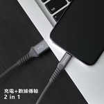 【Leo手機周邊專賣店】PHILIPS飛利浦 USB to Lightning 160cm MFI lightning充電線, , large