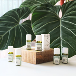 Copaiba Oil , , large