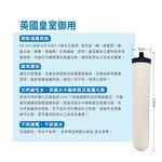 【麗水生活】英國道爾頓Doulton 9504 UL TRACARB矽藻聖燭型陶瓷濾心 皇室御用 丹頓, , large