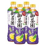 御茶園台灣金萱烏龍茶(無糖)590ml, , large