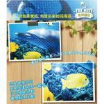 金德恩 GS MALL  台灣製造 2D海洋壁貼 150X58CM 海洋壁貼 2D壁貼 窗貼 壁貼 裝飾壁貼 壁飾 壁貼, , large