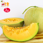 [Yongquanxin] [Fruit House] Tainan Qigu Super Sweet Juicy Net-grained Red Cantaloupe 5 catties, , large