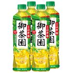 Japanese Taiwan Four Seasons Spring 550, , large