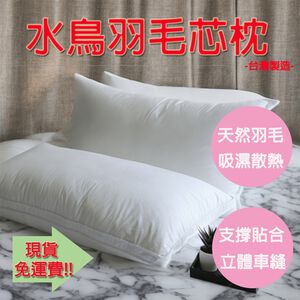 【生活好室】好適羽毛枕 水鳥羽毛枕 枕頭 台灣製造枕頭 天然水鳥羽毛 支撐頭頸 360度包覆 吸濕散熱 床寢 現貨 免運