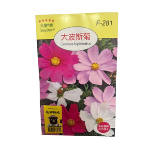 Skystar Cosmos bipinnatus &ndash; Flower Seeds