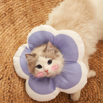 Elizabethan collars, , large