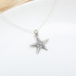 【Angel & Me】可愛 海星 starfish s925 純銀 項鍊 生日 週年 情人節 禮物