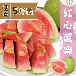 【家購網嚴選】屏東高樹特產 精選紅心芭樂5斤裝x2盒(8-12顆/盒)