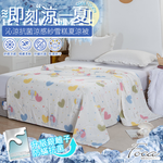 【FOCA】慶典飛象 | 沁涼抗菌銀離子防蹣涼感紗雪糕涼被/四季被 150x200cm, , large