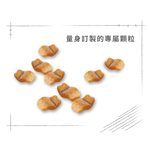 【Royal Canin法國皇家】鬥牛成犬BDA, , large