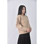 (XL) j crew羊毛純羊毛棕色長袖上衣二手衣, , large