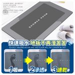 [夢巴黎] 矽藻土地墊, , large