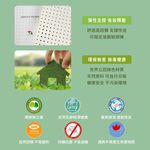 【Arnold Palmer雨傘牌】台製單人加大3.5尺5cm 防蟎抗菌 天然乳膠床墊, , large