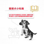 【Royal Canin法國皇家】臘腸幼犬DSP, , large