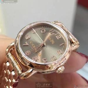 [星晴錶業]COACH手錶,24mm,CH00111玫瑰金色錶面玫瑰金錶殼玫瑰金色精鋼錶帶款