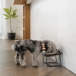 【paipaipets】 Natural Wood Elevated Pet Bowl - XS/Maple, , large