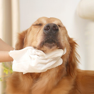 pets-cleansing-wipes