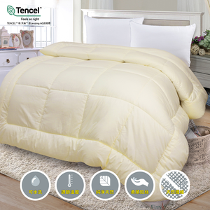 FITNESS_雙人天絲超細四季被胎