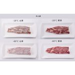 SANLUX 250L Ultra-Low -60°C Top-Opening Freezer TFS-250G, , large
