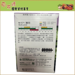 Skystar Mint &ndash; Herb Seeds, , large