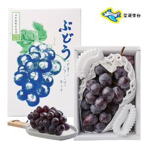 JP Pione grape