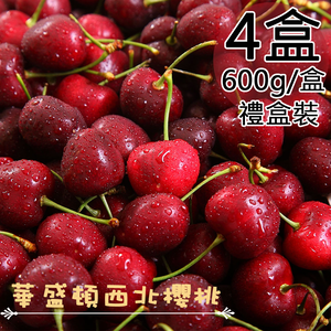 Northwest USA 9.5Row Cherry Gift Box
