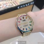 [TIMEMASTER] COACH watch, 36mm, CH00136, , large