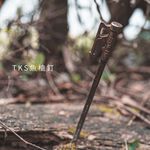 22cm Stainless Steel Speargun Peg, , large