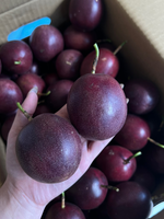 Passion Fruit, , large