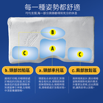 【多利寶寢具】Indian_創世紀第二代護頸記憶枕頭(1顆), , large