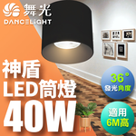 DanceLight dance light 40W Aegis downlight, beam angle 36 degrees, die-cast aluminum, fast heat dissipation, full voltage, one-piece molding, fashionable white (white light), , large