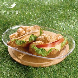 【哩皿食器】台灣製  食品級Tritan  中橢圓盤