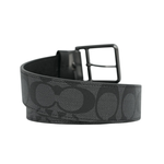 belt, , large