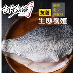 【台灣好漁】金目鱸魚片250-300g/包 生態養殖 刺少 無腥味, , large
