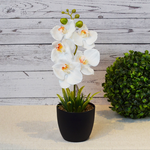 ARTIFICIAL PLANT W/BLACK POT-WHITE, , large