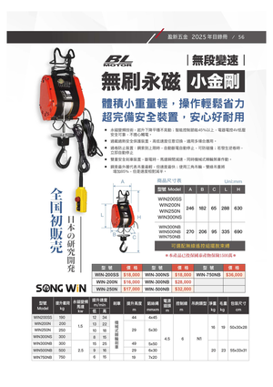 Electric winch