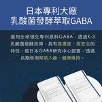 【FJ豐傑生醫】芝麻素+GABA(30顆/袋)-日本專利GABA，幫助睡眠x調節生理機能 x 健康維持, , large