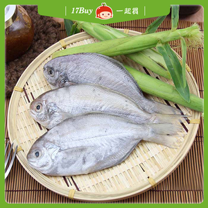 【一起買】野生現撈肉魚 4入 / 350-400g