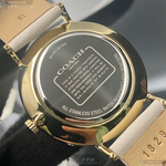 [TIMEMASTER] COACH watch, 36mm, CH00128, , large