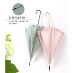 【周周生活】日系蝴蝶結荷葉花邊傘 遮陽  晴雨 抗uv 日本 輕量 陽傘 直傘 自動傘 快速出貨, , large