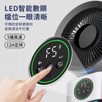 fan, , large