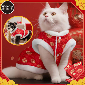 pet clothes