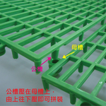 【PMU必美優】排水組合墊60片組(約2.4坪)-綠色, , large